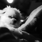 Add096150aad93c01f5acc6235be45c1