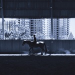 D610ef144493b569a6ab2b4faea63b4c