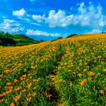 789e06415b9e9860679c3561b3b4690e