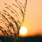 5d22bc4977b415ac2d8dde71c07f8c6e