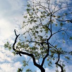 090d0f585efa7c91fa6bb137120cd0a1