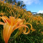 D2a2ceb8456a17dd7968acabc1a3dc90