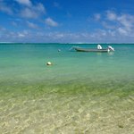 8c28243333c6323c5ab9e6c91259717f