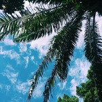 C969b8082a4f7f3b22fadcbbdcfe72e7