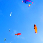 33ebe403fb690346a560c0bc73185c6f