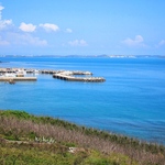 91ac00186cc1b7264df876954906937d