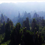 42c1bbe0014f45ee4189c7d64f5bb56b