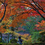 94ca4b478b11bf85e99aa77ac2574f58