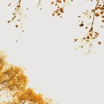 9119047d9cc9b78a46eb663d1c96a922