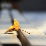 9c59b1a71eb30a5f9f87d10e8d806405