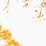 3fc4445632e057d65a40f4a37a57a3c8