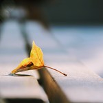 7ffe47869a0e04eaba2c208dfb76a08b