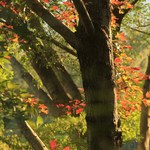 A6aaa3ce3269d7d19fb90104fbed9ace