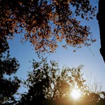 B5a426cfd545ad694918268e64848adf