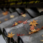 B9ba140f2a1f4f7cc037735336693963