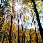 2d539bb12368c1cb018939e660aa99a2