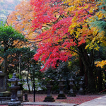 C5de6df7edd11995893efbfe9c5433fc