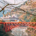 3d7d85bfbc86c23ec2398d2fd9d557b2