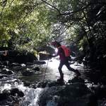 D1d55c494eaedc2a658fc40d63b8c1b0