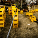 B0b848758f7e2b145aa2037c56932d21