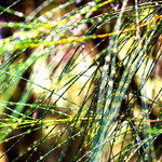 C9e30f4e4d6b9f7fea8311d7a974b2e3