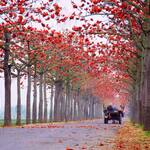 01b7a5db8553f074941fbbe7e6a595f2