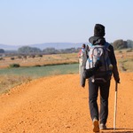 213d7f689db245b4800d01bf47925342