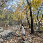 C4dc833f92d10c65a4975b68faf3b2e2