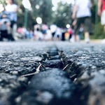 6149cecf60eff78f71f82a5215624121