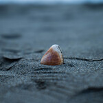 F2be02a93536c19a284a64d3f55684e0