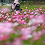 A1067d9e367788db9abab496ae1cd1cb