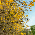 A6b4bb9963e06565120d88273c00cf3c