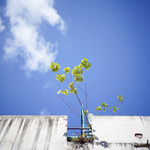 B72d68a9822f2265999a127d3e3d0e31