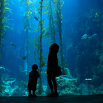 4097a7c4d757f5c09f372ab204281a6b