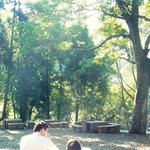 De7b097bcb78280948762431536815e1