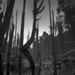 47cd8452b5cf9fbf7dcd21ac2be066d2