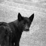 067cea330e29c6b829e7237b5863897f