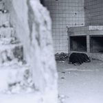 F8e8cfa60989b46c444b4963031f22df