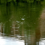 63667da6d8e4da65d66be3085b123094