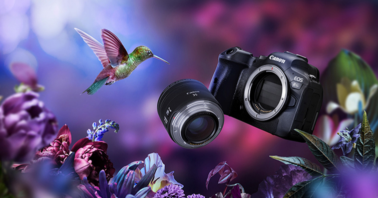 Canon EOS R6台灣8/27正式開賣，單機身售價NT$ 76,900
