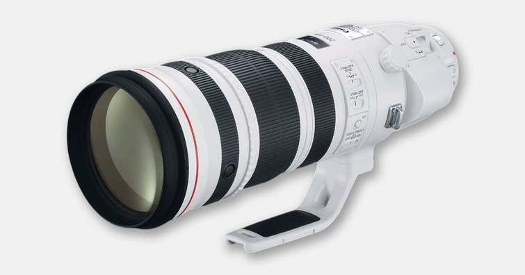 Canon 新一代超望遠變焦鏡  RF 300-600mm F5.6L IS USM 即將登場？